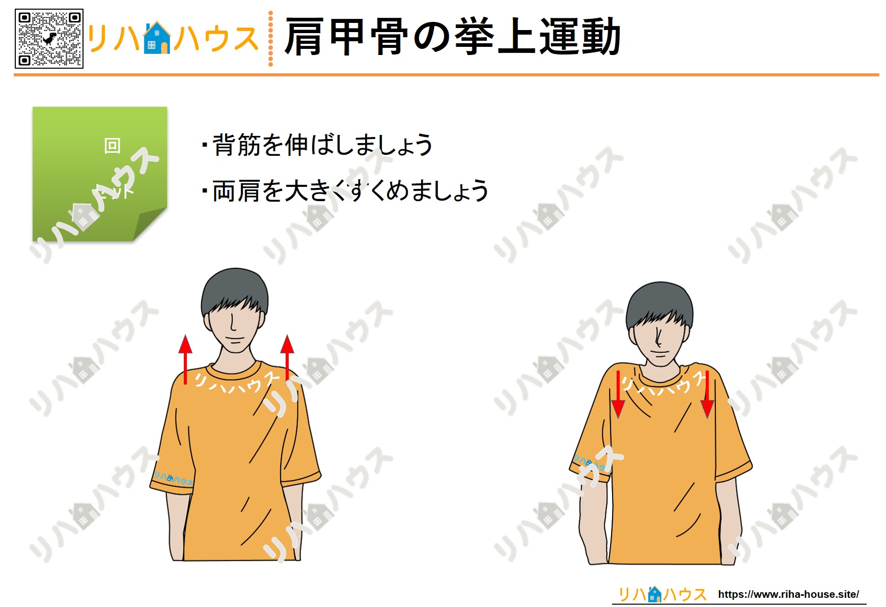 【無料ダウンロード】肩甲骨の挙上運動（肩すくめ）イラスト｜自主トレ素材（リハビリ用） – リハビリ/自主トレーニング/脳トレ/認知症予防/高次 ...