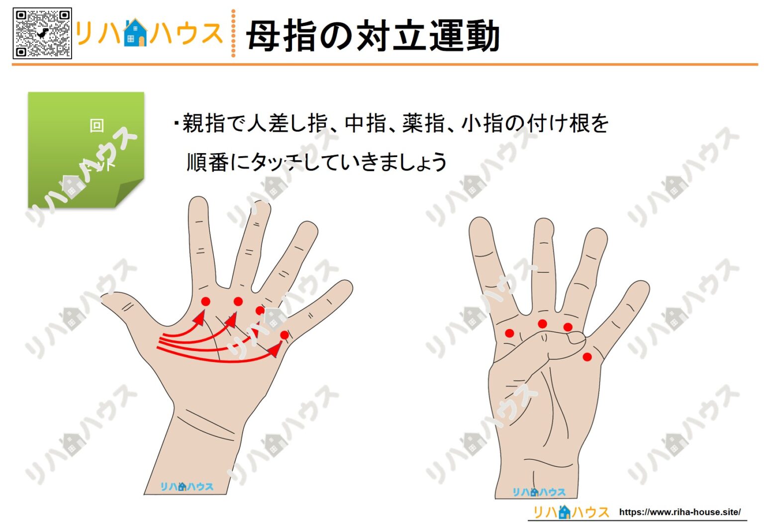 【無料ダウンロード】母指の対立運動｜母指機能を高めるリハビリ自主トレ素材 – リハビリ/自主トレーニング/脳トレ/認知症予防/高次脳機能に ...